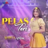 Pelas Teri - Single