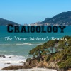 The View: Nature's Beauty - Single