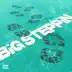 Big Steppin - Single album cover