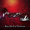 Rey De La Tristeza - Single