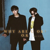 Why Are U OK? (feat.Heo Young-saeng) artwork