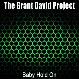 Baby Hold On - Single by The Grant David Project album reviews, ratings, credits