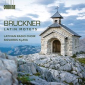 Bruckner: Latin Motets artwork