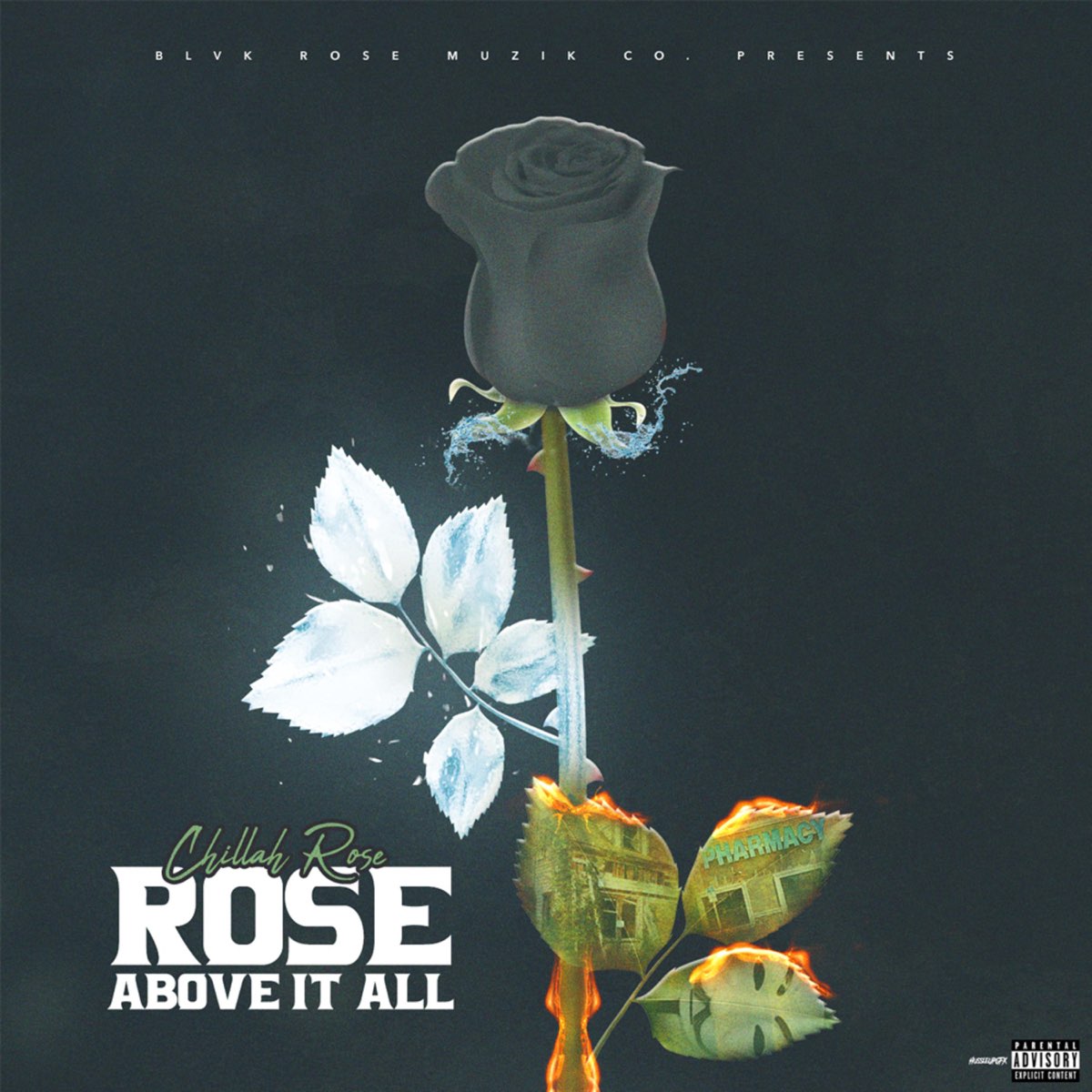 Roses песня. Initiate of Rosae Crucea order Rose above head.