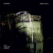 Delights of Decay (feat. Snorre Bjerck, Helge Andreas Norbakken, Jon Balke, Mathias Eick & Trygve Seim) artwork