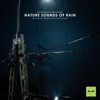 Ambi Nature Sounds - White Noise Rain