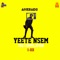 Yeete Nsem Episode 4 (feat. Amg Evergreen) - Amerado lyrics