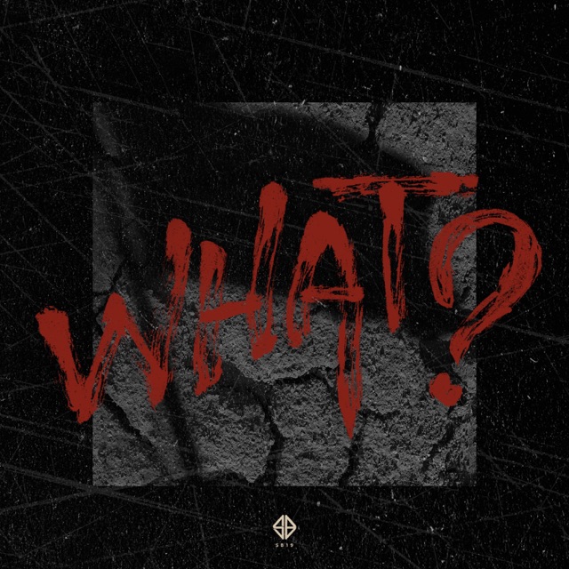  What? - Single Album Cover