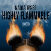 Highly Flammable artwork