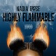 HIGHLY FLAMMABLE cover art