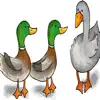 Duck Duck Goose - Single album lyrics, reviews, download