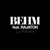 Lupaan (feat. Rajaton) artwork