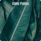 Cat Walk - Enrico Milardo lyrics