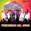 Fiesta Mix Peregrinos del Amor - Single