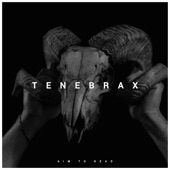 Tenebrax artwork