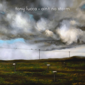 Ain't No Storm - Tony Lucca