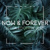 Now & Forever - Single