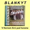 Blankyt 2