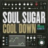Soul Sugar - Cool Down (feat. Booker Gee)