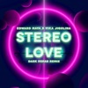 Stereo Love (Dark Rehab Remix) - Single