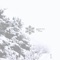 Deck the Halls (feat. Ruelle) - Silverberg lyrics