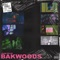 Bakwoods - Jesse Eplan lyrics
