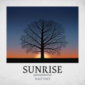 Sunrise (Reinterpreted) artwork