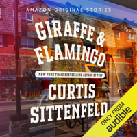 Curtis Sittenfeld - Giraffe & Flamingo (Unabridged) artwork