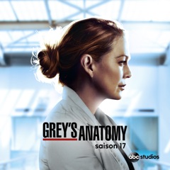 Grey's Anatomy, Saison 17 (VOST)