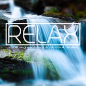 Relax (Soothing Ambient & Chillout Music) artwork