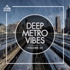 Deep Metro Vibes, Vol. 20