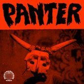 Panter (feat. Kasai Allstars & Basokin) [Instrumental] artwork