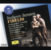 Beethoven: Fidelio artwork