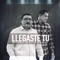 Llegaste Tu (feat. Chepe Mendoza) artwork