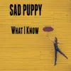What I Know (Nightcore) - Single album lyrics, reviews, download