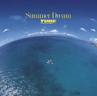 descargar álbum TUBE - Summer Dream