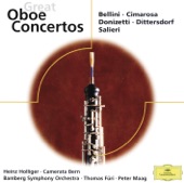 Concerto for Oboe and Orchestra in G Major: I. Maestoso artwork