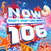 NOW That's What I Call Music! 106 artwork