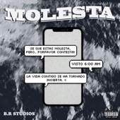 Molesta (feat. El Poder, Cris Matt & El Black) artwork