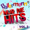 Ballermann - Nur die Hits, Vol. 3