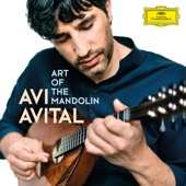 Adagio for Mandolin and Harpsichord in E-Flat Major, WoO 43b (Transcr. for Mandolin and Harp) artwork