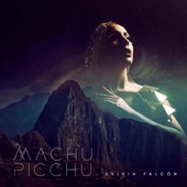 Machu Picchu artwork