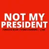 Not My President - Single album lyrics, reviews, download