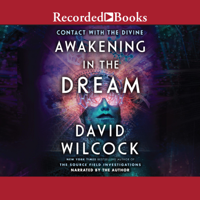 David Wilcock - Awakening in the Dream: Contact with the Divine artwork