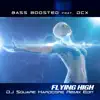 Flying High (feat. DCX) [Dj Square Hardcore Remix Edit] song lyrics