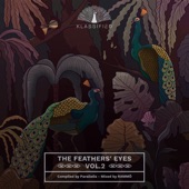 The Feathers' Eyes, Vol. 2 artwork