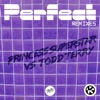 Princess Superstar - Perfect (Todd Terry Remix)