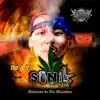 Ambición de Un Malandro (feat. Sonik 420) - Single album lyrics, reviews, download