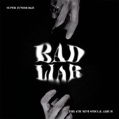 BAD LIAR - The 4th Mini Special Album artwork