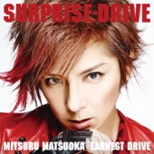 SURPRISE-DRIVE artwork